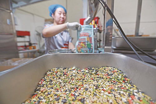 宠物食品行业迎热潮 生产线日夜兼程背后的市场驱动力