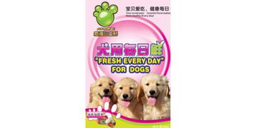 石泉宠物食品包装袋 守护爱宠的美味与健康