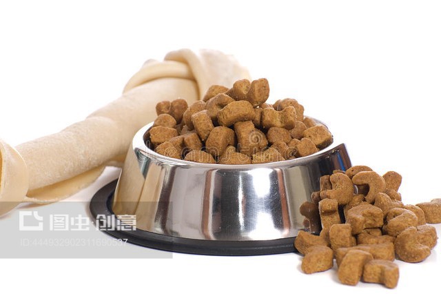 宠物食品 科学喂养与健康选择