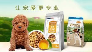 中国十大宠物食品品牌榜中榜 科学喂养，从选对主粮与零食开始